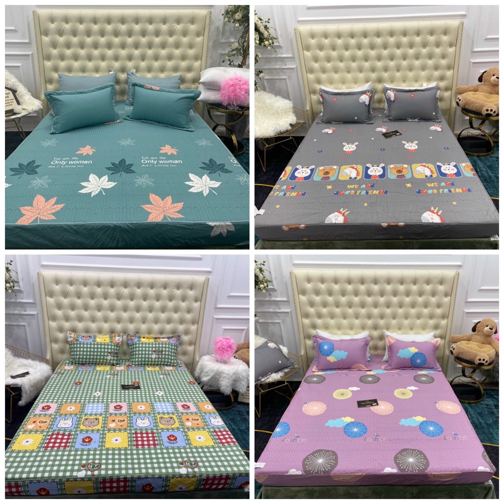 Ga trần bông, ga trải giường cotton bo chun BAMBILOO chất liệu cotton 100% đủ kt, kèm 2 vỏ gối 45x65cm