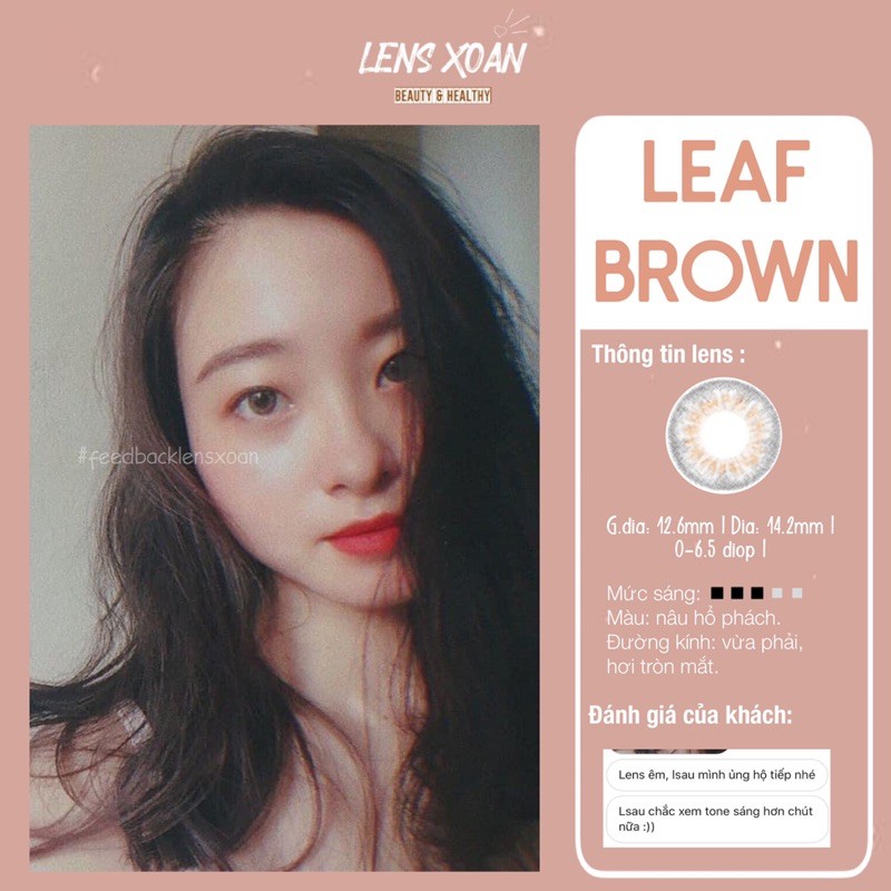 KÍNH ÁP TRÒNG LEAF BROWN: LENS NÂU RÊU ÁNH VÀNG TRONG NHẸ| B.S.COR| LENS XOẮN