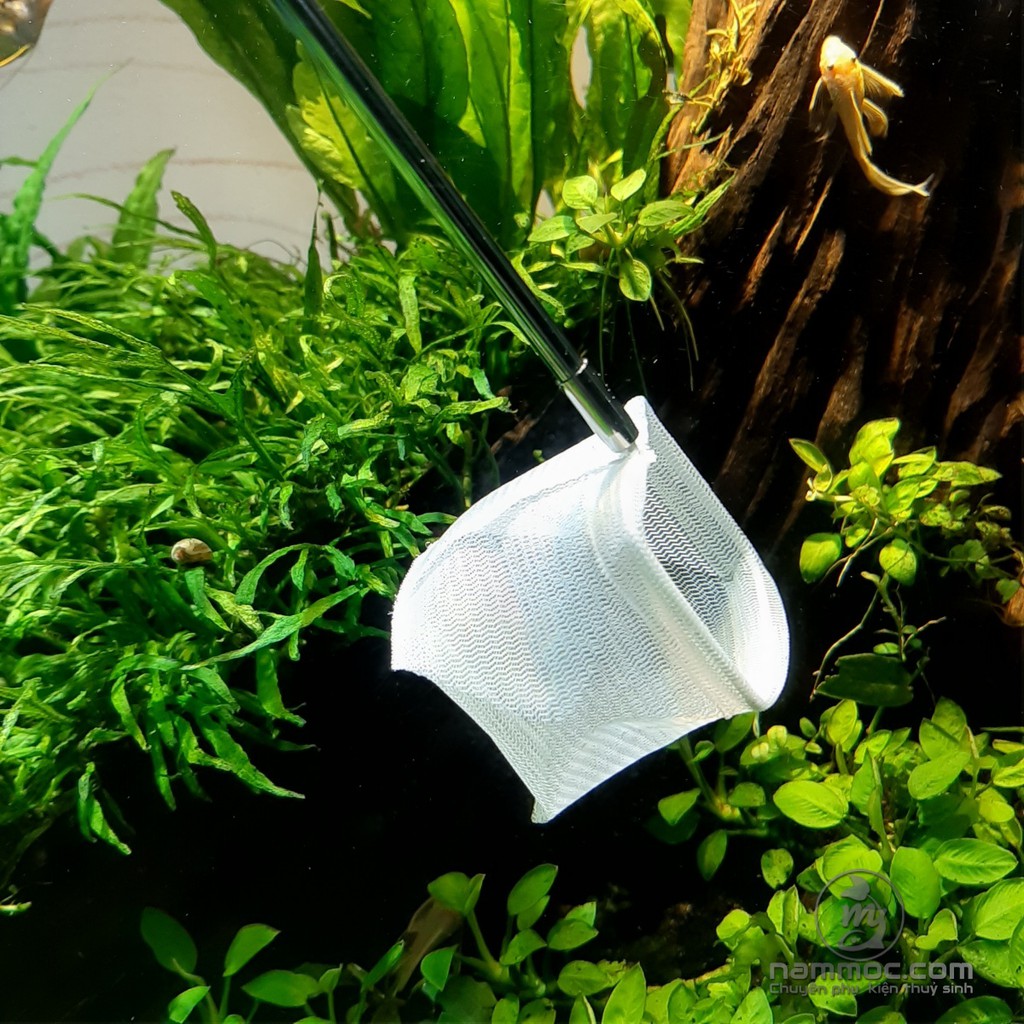 Vợt Tép 3D inox - Vợt Tép Xếp Khúc Nhỏ Gọn | Phụ Kiện Thuỷ Sinh Nấm Aquatools