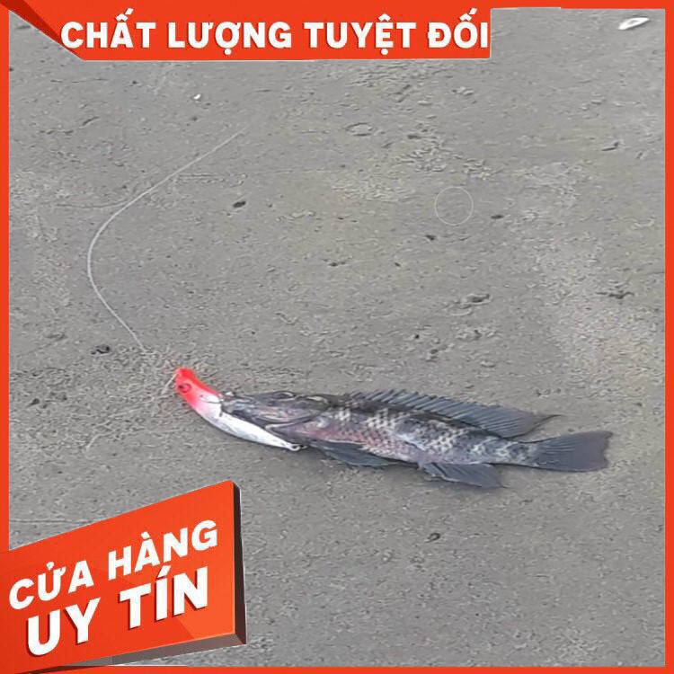 Mồi câu Sasuke chuyên lure chẽm, vược