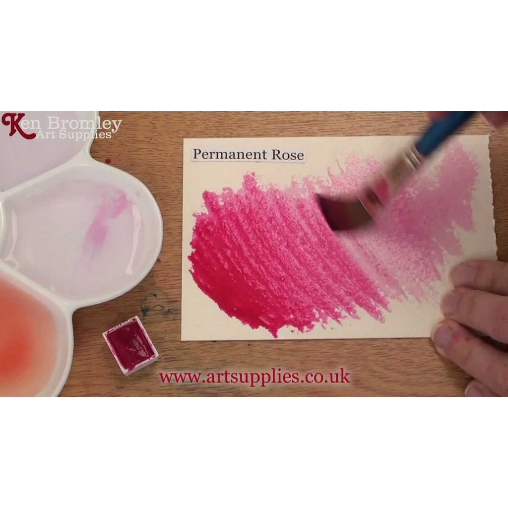 Màu nước thỏi Winsor & Newton Cotman Half Pans dạng lẻ