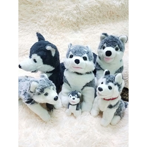 Gấu bông con chó Husky Alaska giống thật