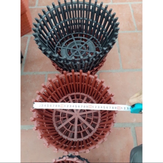 5 chậu nhựa trồng Lan phi 30