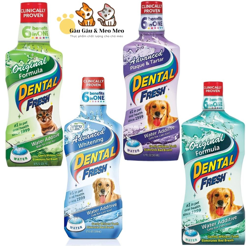 DENTAL FRESH - DUNG DỊCH VỆ SINH CHO THÚ CƯNG chai 237ml