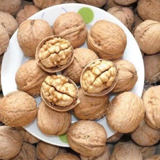 Quả óc chó siêu to 1 KG