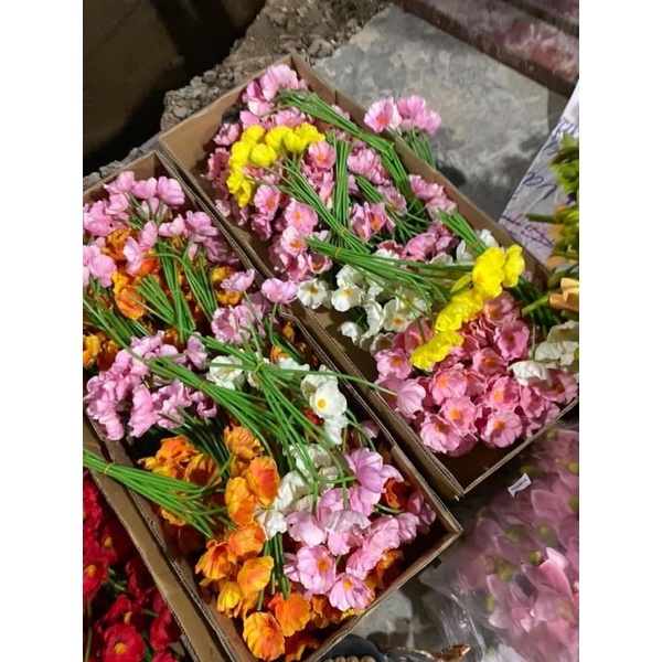 Dạ yến thảo 1 cành