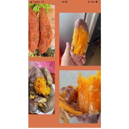 100k/3kg khoai nang mật