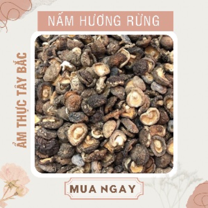 Nấm hương rừng Điện biên hàng loại 1 (chuẩn đặc sản quà biếu)