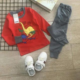 Combo 24 bộ bozip