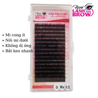 Mi khay - mi classic chuyên nối mi dưới - độ cong B - Hani Lash