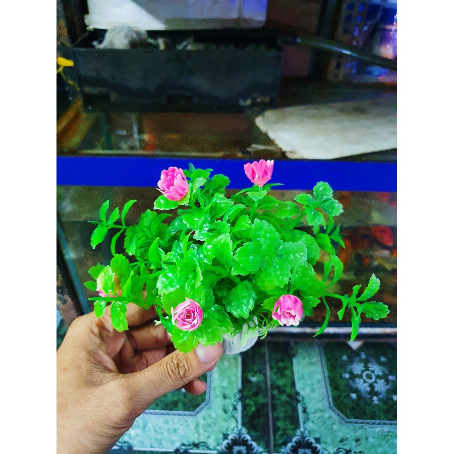 RONG GIẢ ĐẾ TRÒN TRANG TRÍ HỒ CÁ NON BỘ CAO 10CM