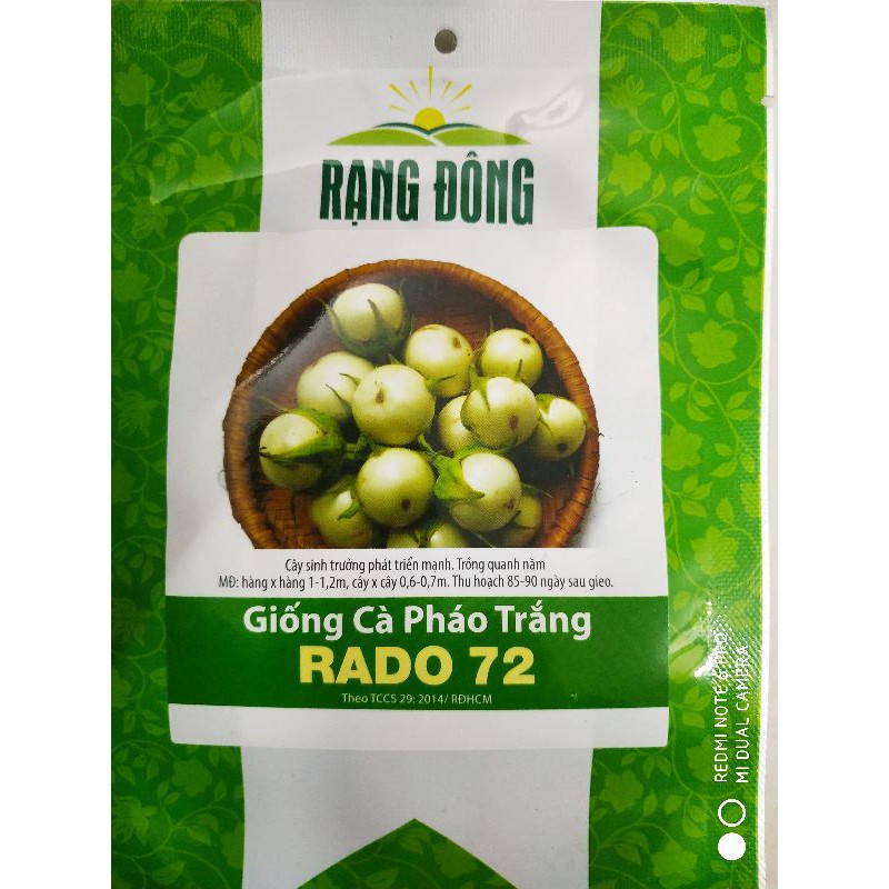 Hạt giống Cà pháo 0.5gr❤️FREESHIP XTRA❤️