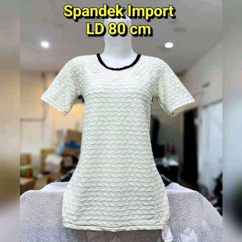 Áo Sơ Mi Nữ Vải Spandex Nhập Khẩu LD 80cm