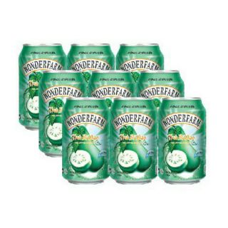 6 LON TRÀ BÍ ĐAO WONDERFAM 310ML X1 LON