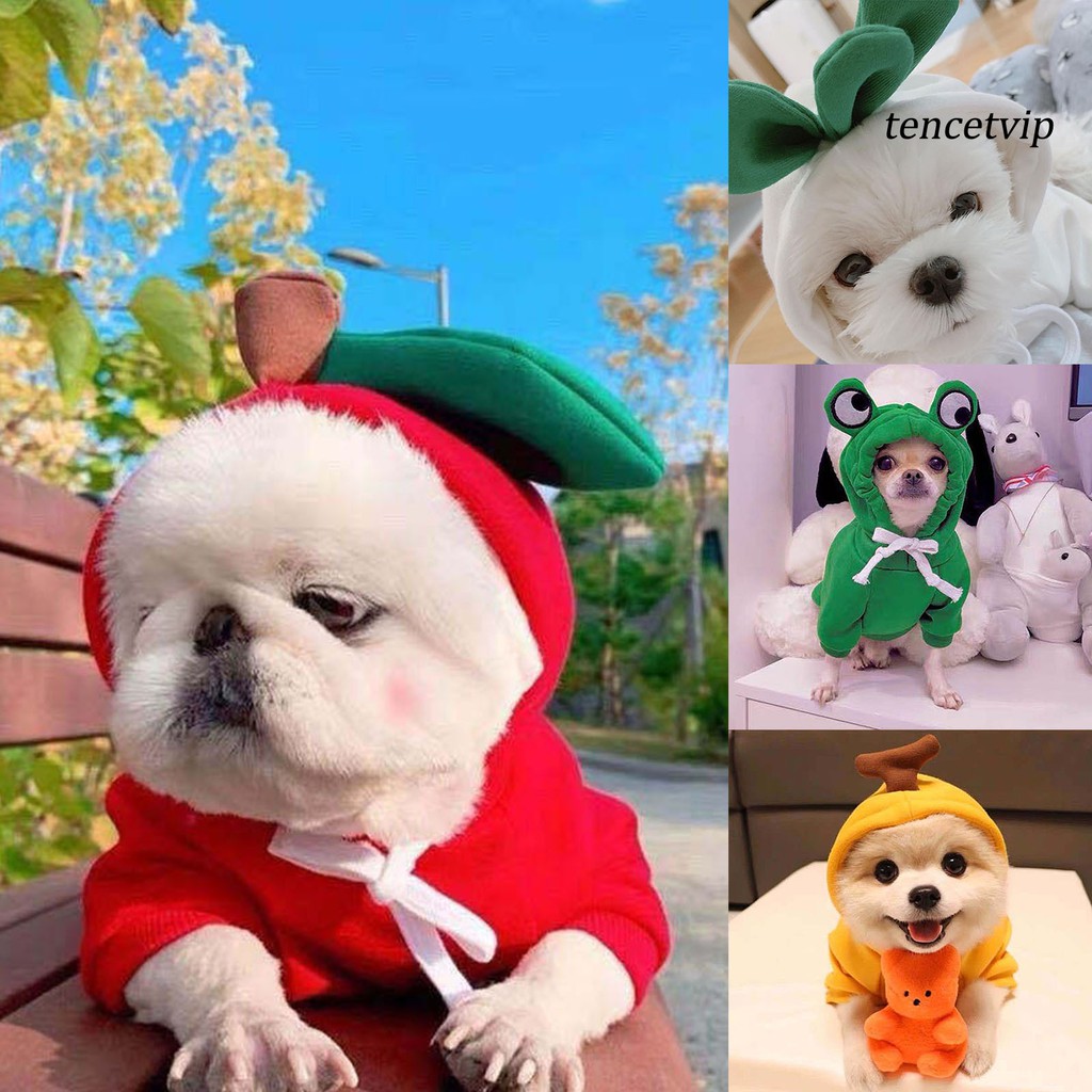 Áo hoodie cho thú cưng ấm áp xinh xắn