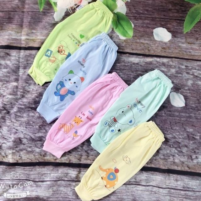 10 Quần Dài Cotton Bo Gấu Cho Bé 3-10Kg / QD2V