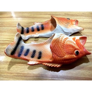 DÉP CON CÁ 🐠🐠