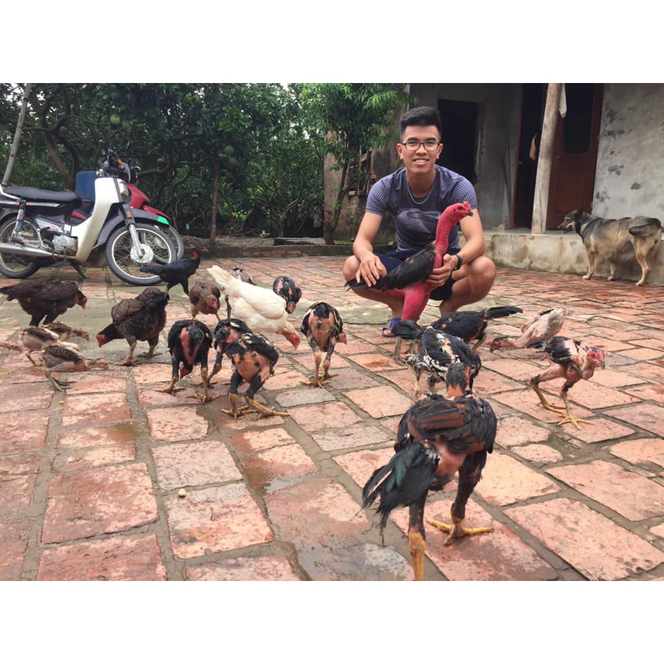 Kích Lực Trước Đá