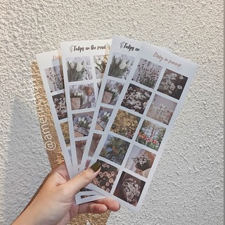 Set 4 Tờ Sticker basic tối giản MGZC