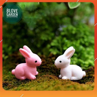 Tiểu Cảnh mini - Chú Thỏ Con Ngồi Làm Phụ Kiện trang trí Terrarium, Sen đá, Xương rồng, cây cảnh để bàn