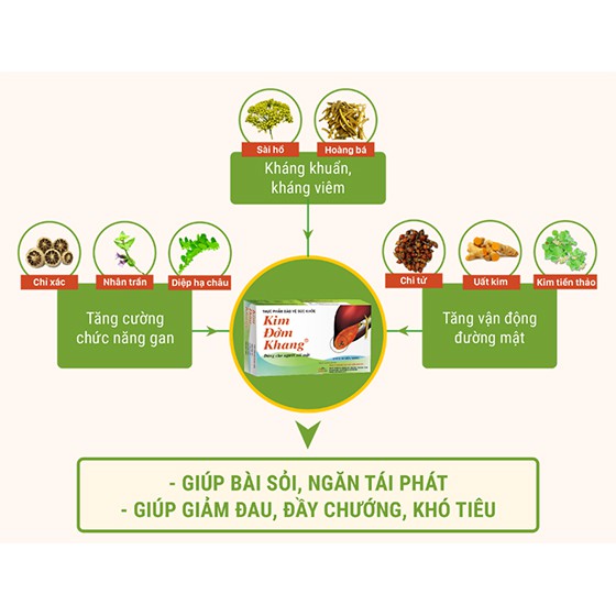 TRÀ DIỆP HẠ CHÂU NGỌC THẢO GÍUP THANH NHIỆT GIẢI ĐỘC
