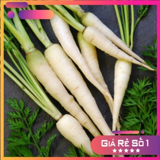 (NK Mỹ) Hạt giống cà rốt Trắng Lunar F1 - HGNK