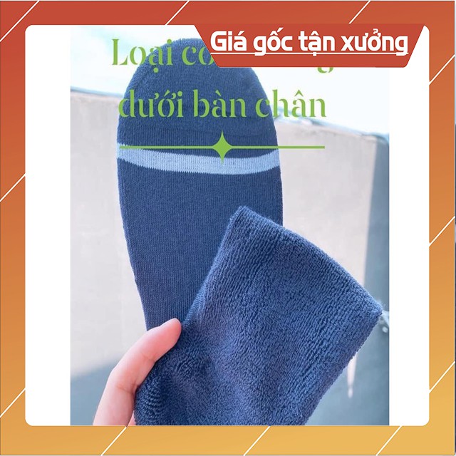 [Xả Kho] Tất Vớ Nam Nữ Hàn Quốc Xuất Xịn Chất Siêu Đẹp Mềm Mịn Mướt Co Giãn Tốt Ấm Có Lót Lông Có Size Trẻ Em FreeShip