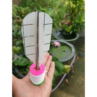 Cầu Tia Chớp Đá dưới mưa.