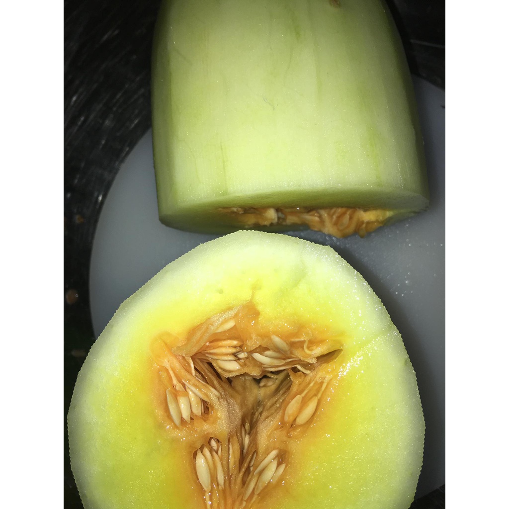 Dưa mèo ngắn ngày