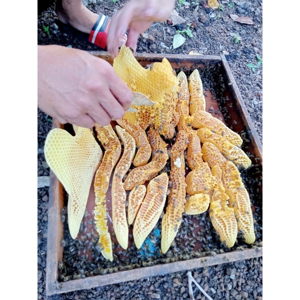 1kg mật ong nguyên tổ loại 1