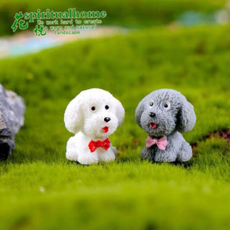 Tiểu cảnh một chú chó con Teddy terrarium cực cute trang trí sen đá