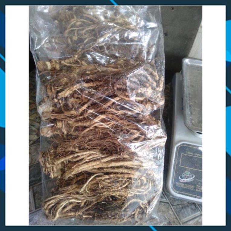 ĐƯƠNG QUY KHÔ TÂY BẮC PHƠI NẮNG TỰ NHIÊN CHUẨN VN