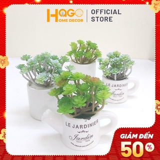 Chậu cây mini, chậu cây sen đá để bàn trang trí hà cửa, kệ tủ, bàn trà cực xinh