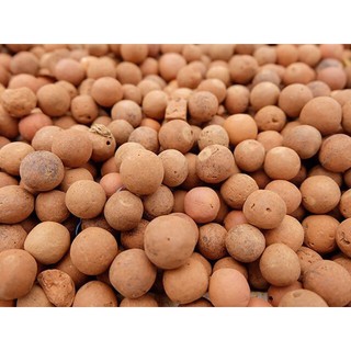 Đất Trồng Cây Hút Nước Giữ Ẩm, Đất Nung Dạng Viên, Đất Trồng Lan, Trồng Sen đá, Trồng Hoa Kiểng (Nhập Khẩu Thái Lan)