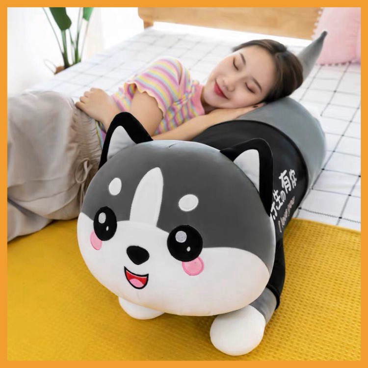 Gối ôm gấu bông to hình thú mèo husky cho người lớn cho bé ôm ngủ kích thước từ 50cm đến 1m2