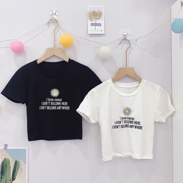 Áo croptop thun lụa thêu hoa cúc, áo thun ngắn tay tôn dáng - Colory Shop