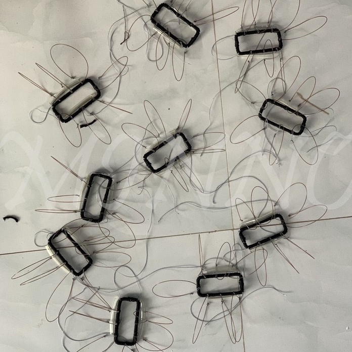 Bẫy chim cắt lớn bằng bẫy yên buộc lên lưng chim bồ câu