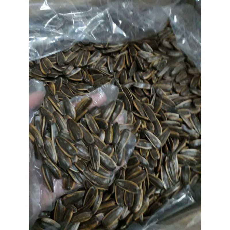 500g hàng đóng túi zip hướng dương tẩm các vị ( sẵn dừa và caramen) hàng loại 1 | BigBuy360 - bigbuy360.vn