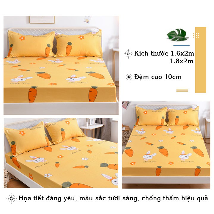 Ga trải giường chống thấm cotton 2 lớp loại tốt siêu mềm, siêu đẹp bộ 1 món (ga giường)  dvg dieushop