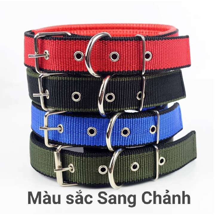 Vòng cổ cho Chó Lót Đệm Da Cao Cấp