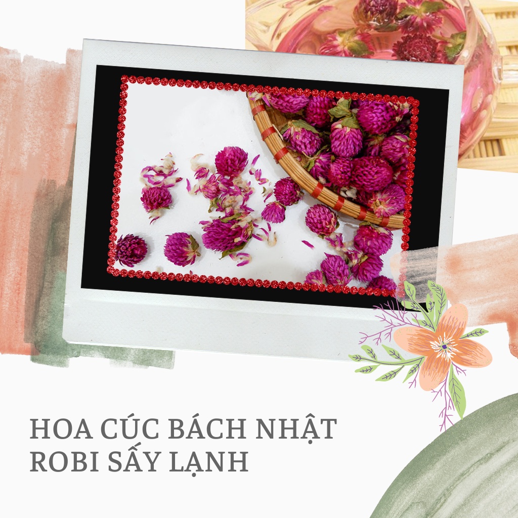 Hoa cúc bách nhật tím Robimart sấy lạnh 50 gram