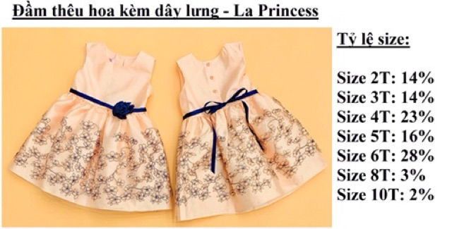 Đầm thêu hoa La Princess