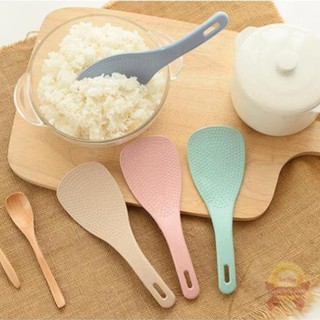 Dallm Dallm thìa nhựa dùng 1 lần