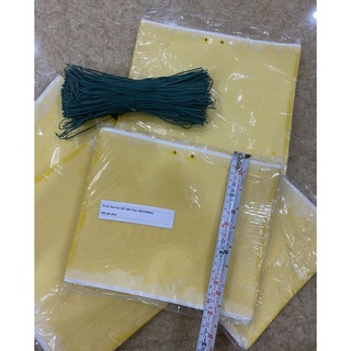 Miếng dán siêu dính ruồi vàng - bẫy ruồi vàng và các loại côn trùng gây hại 20*25cm