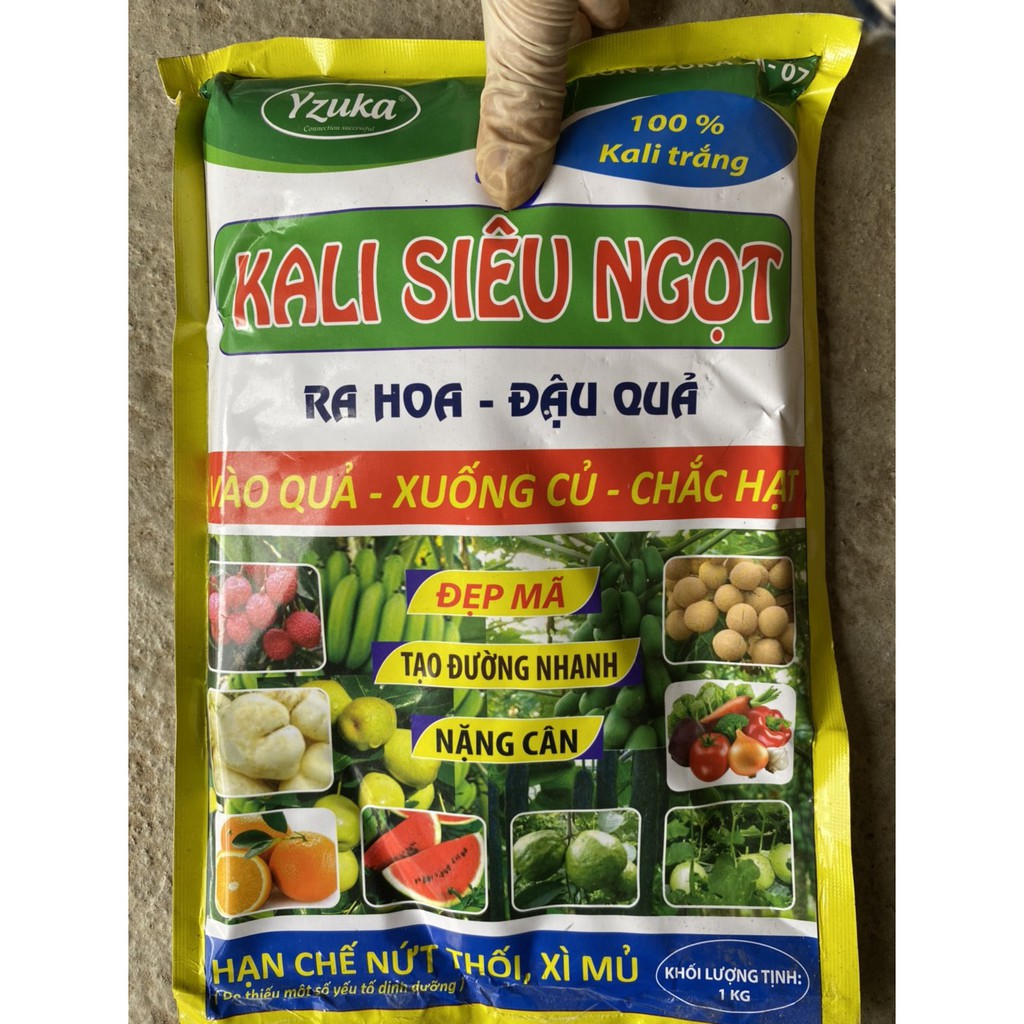 1kg Kali Siêu ngọt