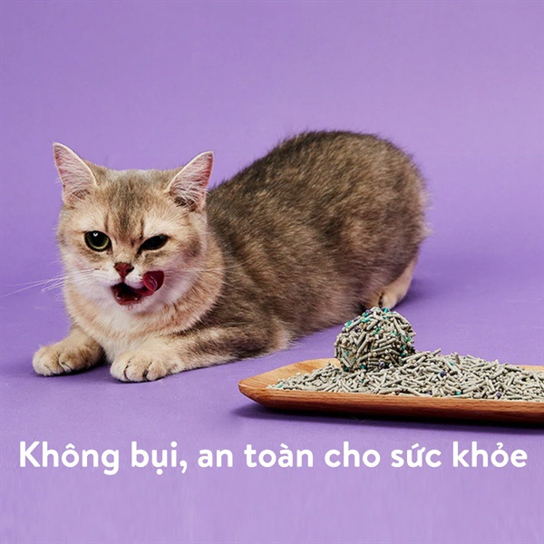 Cát vệ sinh mèo PETKIT 5 TRONG 1, 3.6kg / 7L