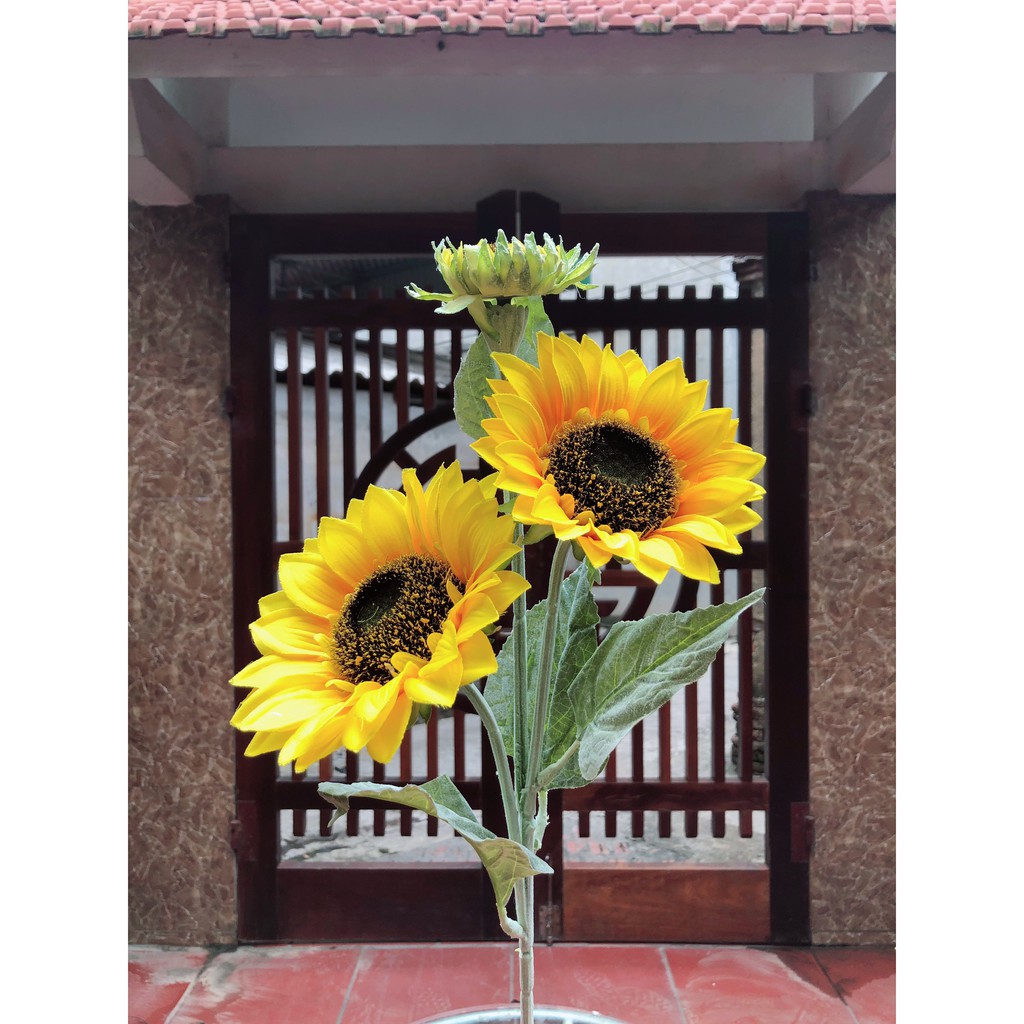 Hoa Hướng Dương cành cao 90cm hàng đẹp cam kết chất lượng