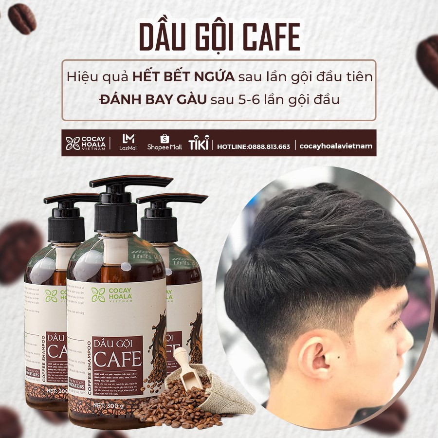 Dầu Gội Cà Phê Sạch Gàu Giảm Ngứa Phục Hồi Tóc Hư Tổn Cocayhoala 300g