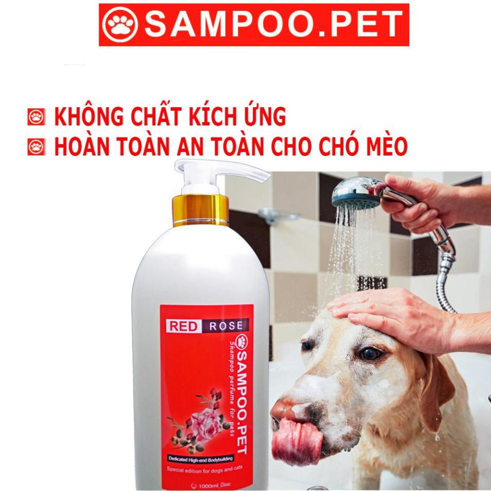 Sữa tắm nước hoa chó mèo SAMPOO.PET loại sữa tắm nước hoa cho thú cưng thơm tho 22h và mượt lông