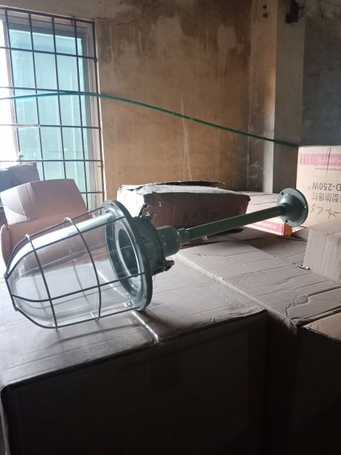 Đèn chống nổ treo 250w.